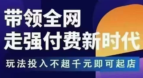 王校长·万金油强付费玩法(更新3.16杭州线下)-一个公司创业项目 - 淘金吧