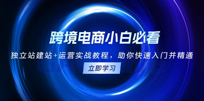 跨境电商小白必看!独立站建站+运营实战教程,助你快速入门并精通-一人公司创业项目 - 淘金吧