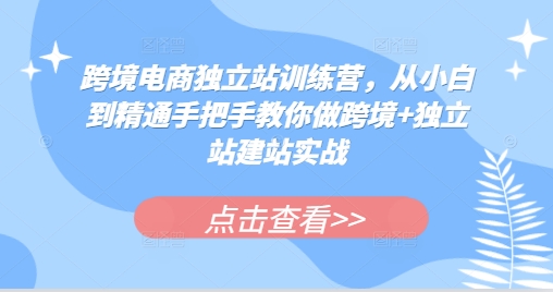跨境电商独立站训练营,从小白到精通手把手教你做跨境+独立站建站实战-一人公司创业项目 - 淘金吧