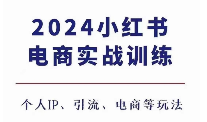 2024小红书电商3.0实战训练，包含个人IP、引流、电商等玩法-一人公司创业项目 - 淘金吧