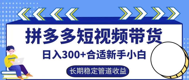 拼多多短视频带货日入300+，实操账户展示看就能学会-一人公司创业项目 - 淘金吧