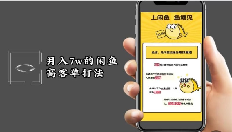 月入7w闲鱼高客单玩法，精细化运营，二手电商保姆级教程-一个公司创业项目 - 淘金吧