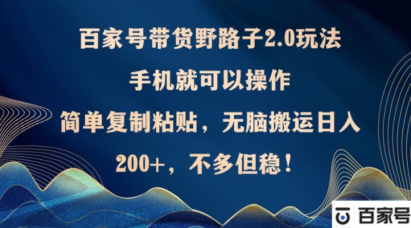 百家号带货野路子2.0玩法,手机就可以操作,简单复制粘贴,无脑搬运日…-一人公司创业项目 - 淘金吧