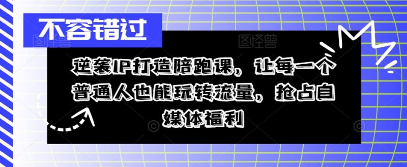 逆袭IP打造陪跑课,让每一个普通人也能玩转流量,抢占自媒体福利-一个公司创业项目 - 淘金吧