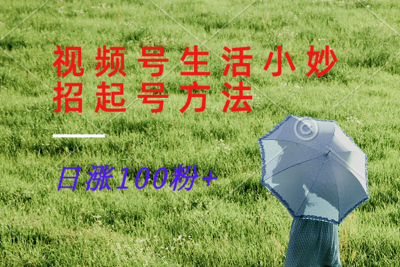 视频号生活小妙招分享赛道， 起号涨粉新方法，日涨100粉-一人公司创业项目 - 淘金吧