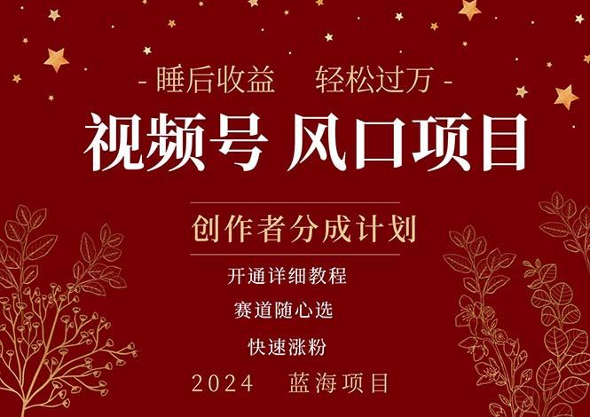 拥有睡眠收益的微信视频号大风口项目，轻松月入过万+，多赛道选择，可…-一人公司创业项目 - 淘金吧