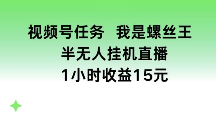 视频号任务，我是螺丝王， 半无人挂机1小时收益15元【揭秘】-一人公司创业项目 - 淘金吧