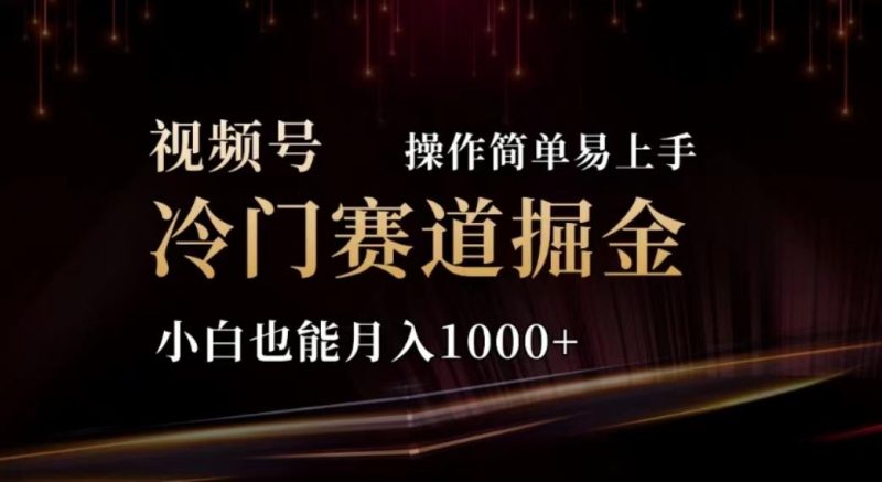 2024视频号冷门赛道掘金,操作简单轻松上手,小白也能月入1000+-一人公司创业项目 - 淘金吧