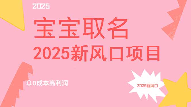 2025新风口项目宝宝取名，0成本高利润，附保姆级教程，月入过万不是梦-一人公司创业项目 - 淘金吧