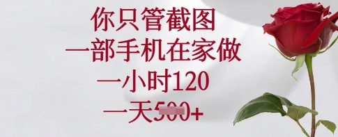 你只管截图,一部手机在家做,一小时120.一天5张【揭秘】-一人公司创业项目 - 淘金吧
