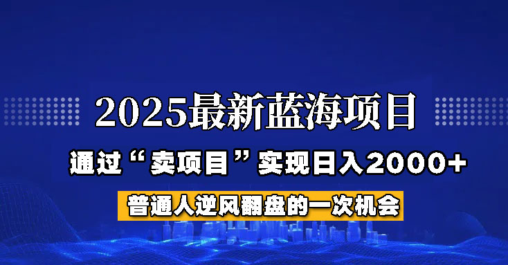 图片[1]-2025年蓝海项目，如何通过“网创项目”日入2000+-云创网
