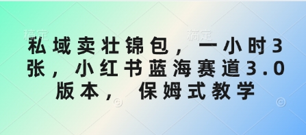 私域卖壮锦包,一小时3张,小红书蓝海赛道3.0版本, 保姆式教学-一人公司创业项目 - 淘金吧