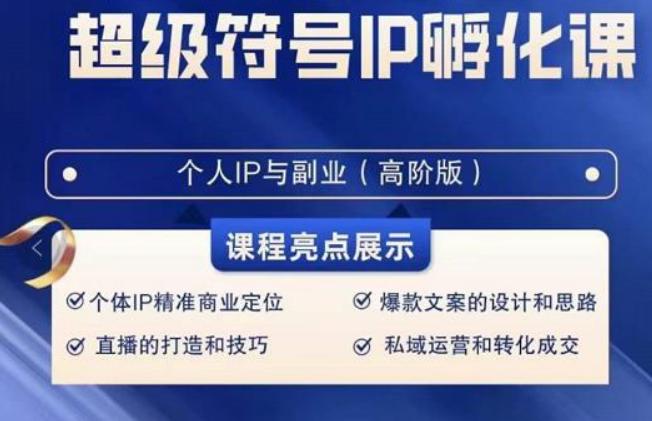 超级符号IP孵化高阶课，建立流量思维底层逻辑，打造属于自己IP（51节课）-一人公司创业项目 - 淘金吧