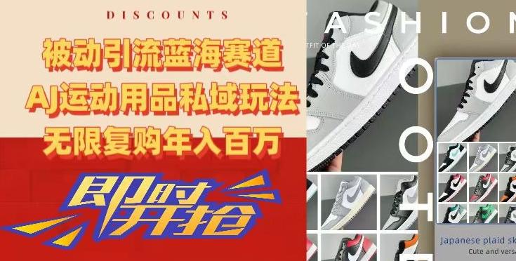 被动引流蓝海赛道，AJ运动用品私域玩法，无限复购年入百万【揭秘】-一个公司创业项目 - 淘金吧