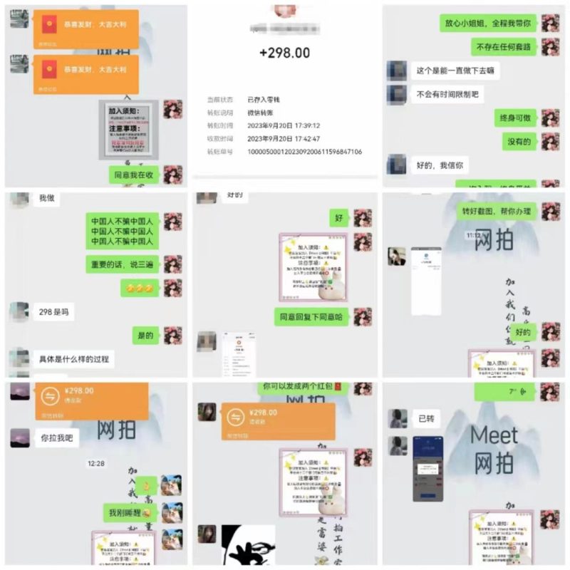 (8728期)电商平台高佣金网拍，靠谱项目，执行就能赚钱，简单操作-一人公司创业项目 - 淘金吧