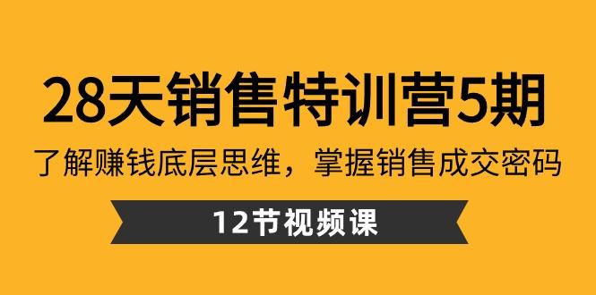 28天销售特训营5期：了解赚钱底层思维，掌握销售成交密码（12节课）-一人公司创业项目 - 淘金吧
