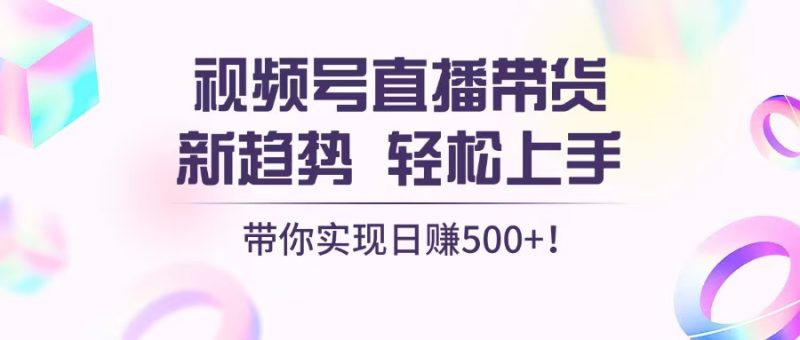视频号直播带货新趋势，轻松上手，带你实现日赚500+-一人公司创业项目 - 淘金吧