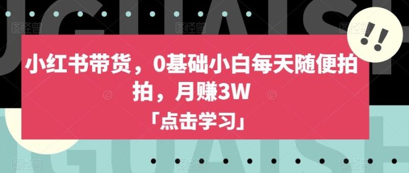 小红书带货,0基础小白每天随便拍拍,月赚3W【揭秘】-一人公司创业项目 - 淘金吧