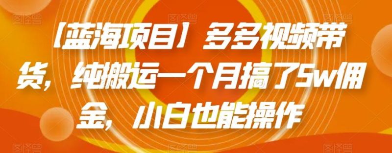 【蓝海项目】多多视频带货,纯搬运一个月搞了5w佣金,小白也能操作【揭秘】-一人公司创业项目 - 淘金吧