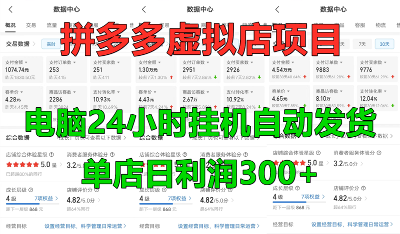 拼多多虚拟店铺项目，电脑挂机自动发货，单店日利润300+-一人公司创业项目 - 淘金吧