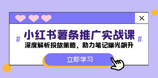 小红书-薯条推广实战课：深度解析投放策略，助力笔记曝光飙升-一人公司创业项目 - 淘金吧