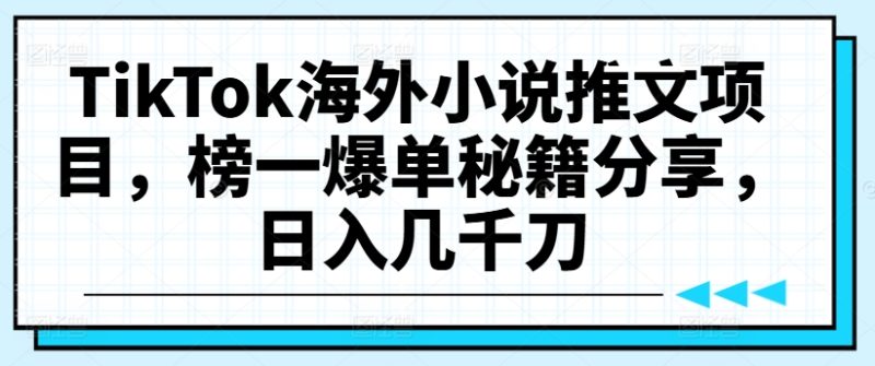 TikTok海外小说推文项目,榜一爆单秘籍分享,日入几千刀-一人公司创业项目 - 淘金吧