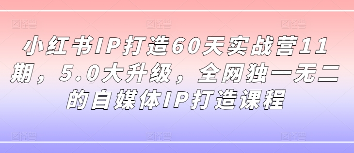 小红书IP打造60天实战营11期,5.0大升级,全网独一无二的自媒体IP打造课程-一个公司创业项目 - 淘金吧