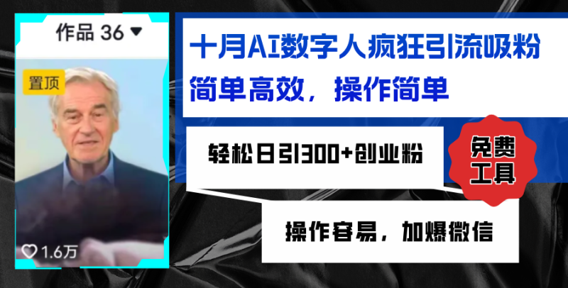 AI数字人疯狂引流吸粉,简单高效,日引300+创业粉 ,操作容易,加爆微信-一个公司创业项目 - 淘金吧