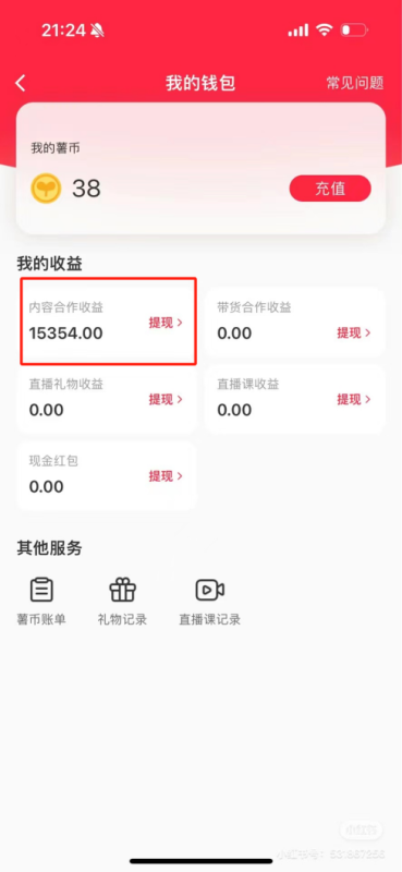 热门评论引爆小红书流量，作品制作简单，广告接到手软，月入过万不是梦-一人公司创业项目 - 淘金吧