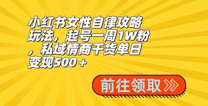 小红书女性自律攻略玩法，起号一周1W粉，私域情商干货单日变现500＋-一人公司创业项目 - 淘金吧