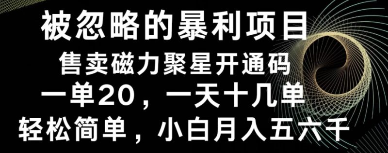 被忽略的暴利项目!售卖磁力聚星开通码,一单20,一天十几单,轻松月入五六千-一人公司创业项目 - 淘金吧