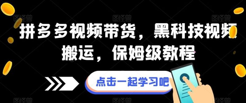拼多多视频带货,黑科技视频搬运,保姆级教程-一人公司创业项目 - 淘金吧