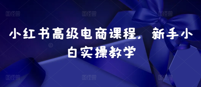 小红书高级电商课程,新手小白实操教学-一个公司创业项目 - 淘金吧