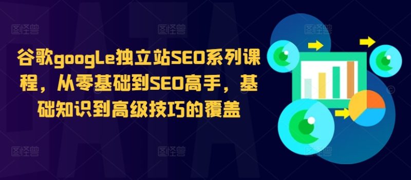 谷歌google独立站SEO系列课程,从零基础到SEO高手,基础知识到高级技巧的覆盖-一个公司创业项目 - 淘金吧