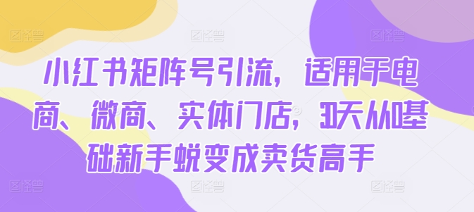 小红书矩阵号引流，适用于电商、微商、实体门店，30天从0基础新手蜕变成卖货高手-一个公司创业项目 - 淘金吧