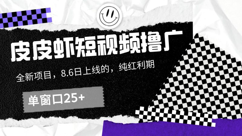 皮皮虾短视频撸广，单窗口收益25+！-一人公司创业项目 - 淘金吧