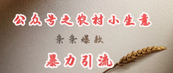 deepseek写农村小项目,条条爆款,暴力引流-一人公司创业项目 - 淘金吧
