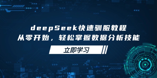 deepSeek快速驯服教程，从零开始，轻松掌握数据分析技能-一人公司创业项目 - 淘金吧