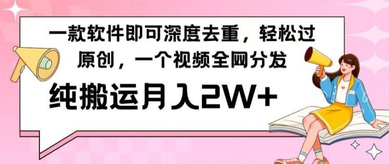 一款软件深度去重,轻松过原创,一个视频全网分发,纯搬运月入2W+-一人公司创业项目 - 淘金吧