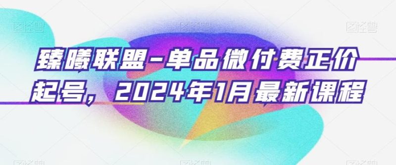 臻曦联盟-单品微付费正价起号,2024年1月最新课程-一人公司创业项目 - 淘金吧