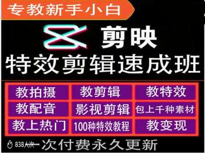 剪映特效教程和运营变现教程，特效剪辑速成班，专教新手小白-一人公司创业项目 - 淘金吧