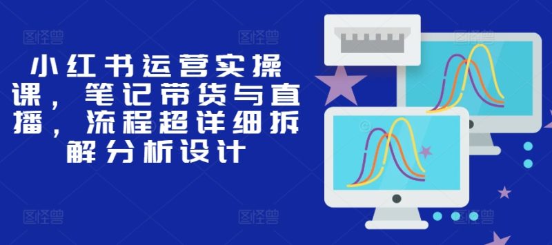 小红书运营实操课,笔记带货与直播,流程超详细拆解分析设计-一人公司创业项目 - 淘金吧