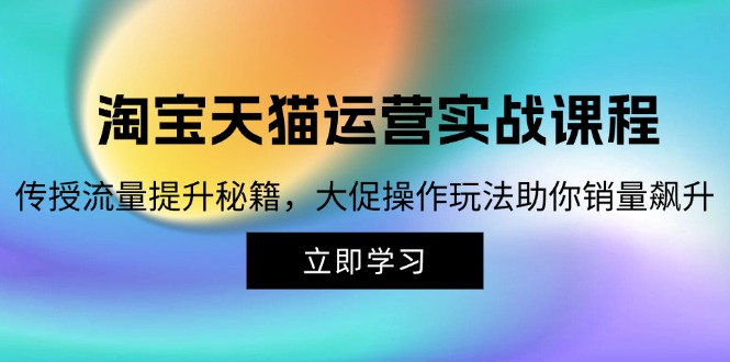 淘宝&天猫运营实战课程，传授流量提升秘籍，大促操作玩法助你销量飙升-一人公司创业项目 - 淘金吧