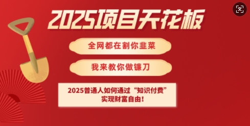2025项目天花板普通人如何通过知识付费,实现财F自由【揭秘】-一人公司创业项目 - 淘金吧