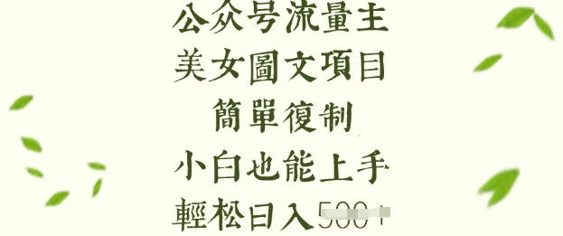流量主长期收益项目,美女图片简单复制,小白也能上手,轻松日入5张-一人公司创业项目 - 淘金吧