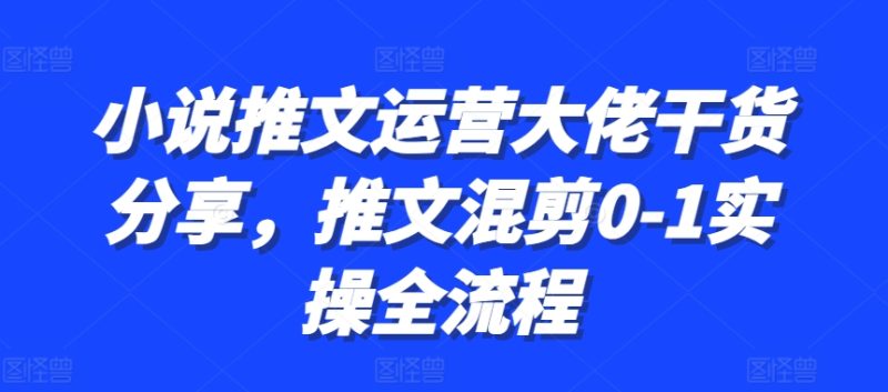 小说推文运营大佬干货分享,推文混剪0-1实操全流程-一人公司创业项目 - 淘金吧