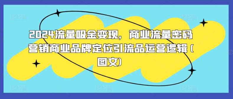2024流量吸金变现，商业流量密码营销商业品牌定位引流品运营逻辑(图文)-一人公司创业项目 - 淘金吧