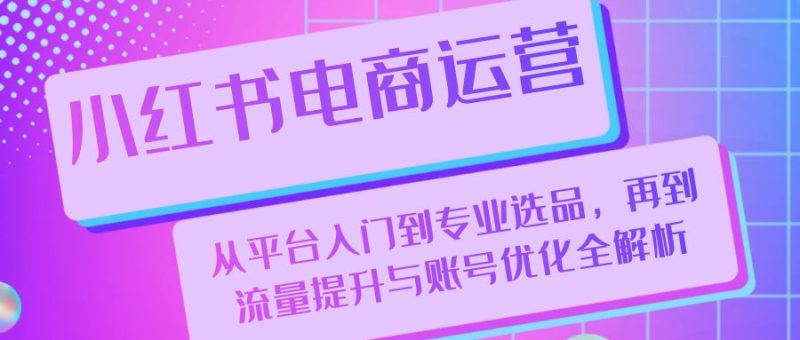 小红书电商运营:从平台入门到专业选品,再到流量提升与账号优化全解析-一人公司创业项目 - 淘金吧