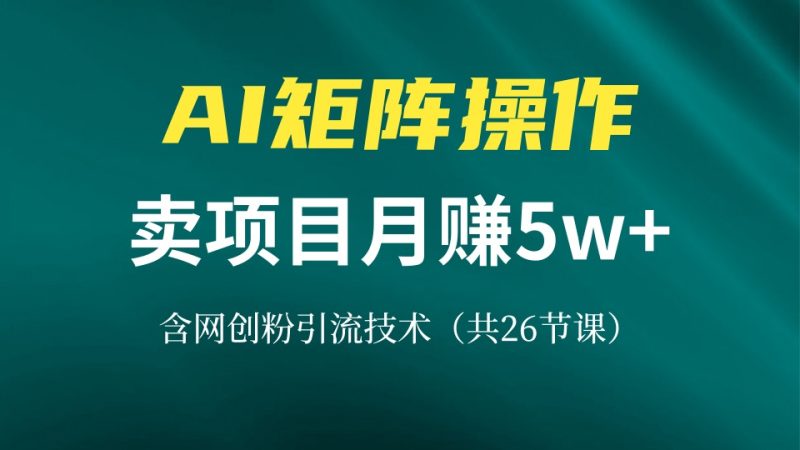 网创IP打造课,借助AI卖项目月赚5万+,含引流技术(共26节课-一人公司创业项目 - 淘金吧