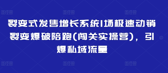 裂变式发售增长系统1场极速动销裂变爆破陪跑(闯关实操营),引爆私域流量-一人公司创业项目 - 淘金吧